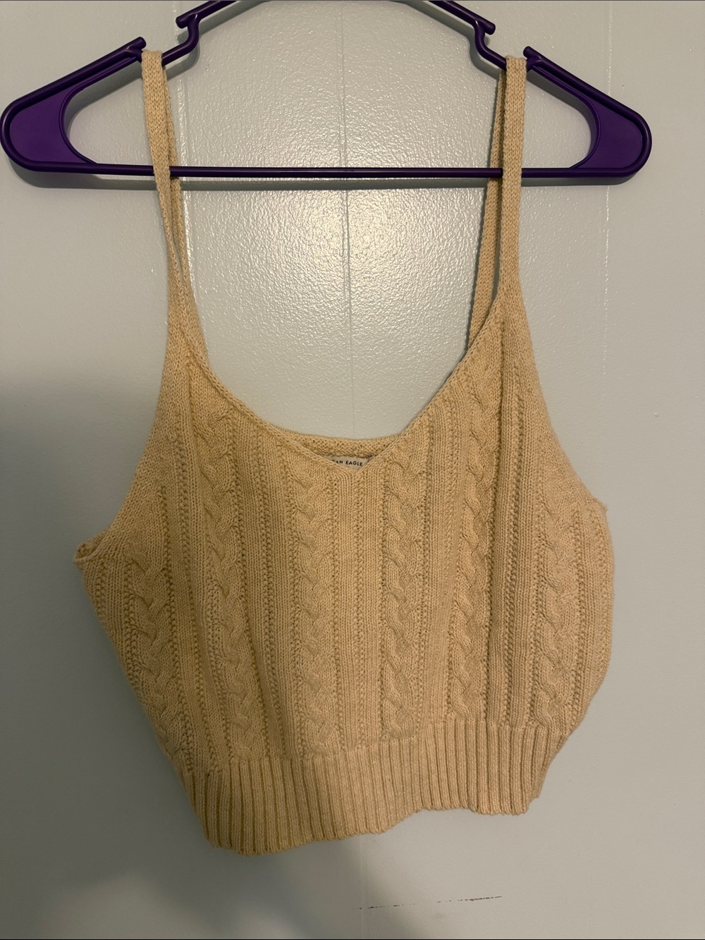 American Eagle Outfitters Cream Cable Knit Cropped Tank